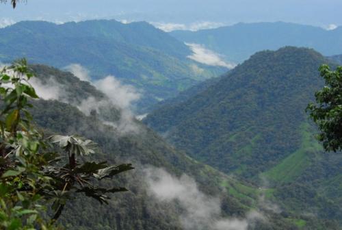 Ecuador - Cloud Forest