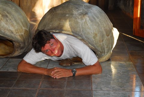Galapagos Tortoise Shell